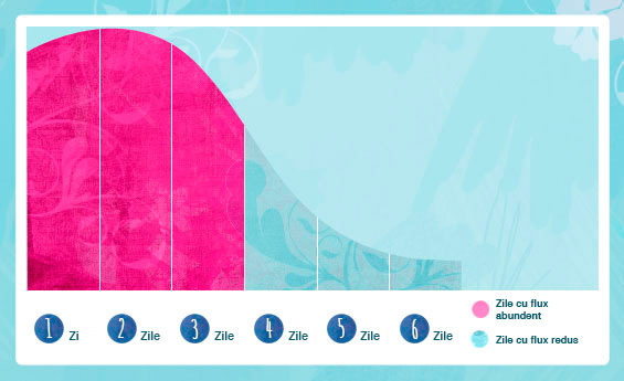 Ilustrație grafică în care sunt exemplificate zilele cu cel mai abundent flux din ciclul menstrual.