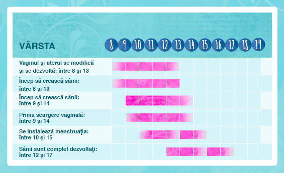 Ilustrație grafică care prezintă în linii mari prin ce trec fetele în timpul pubertăţii.