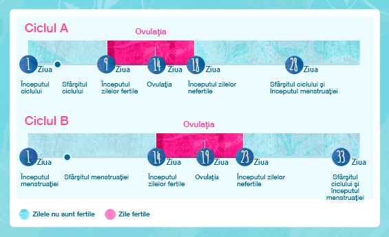 Ciclul Tău Menstrual O B Adolescente